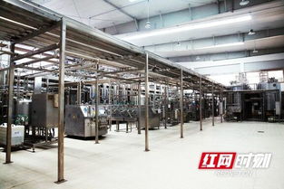 優氏乳業 以“寧鄉智造”技術服務，助力國家學生飲用奶計劃，引領健康食品產業創新